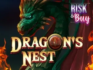 Dragon's Nest game cover